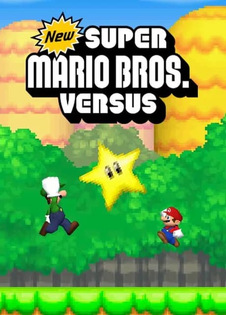 NSMB: Mario vs. Luigi Online