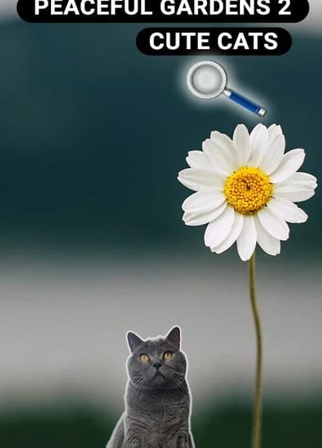Peaceful Gardens 2: Cute Cats