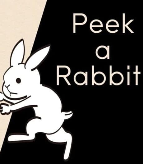 Peek a Rabbit!