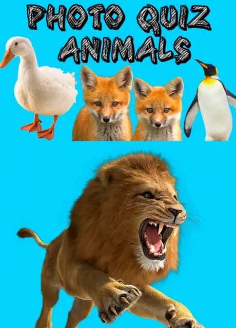 Photo Quiz: Animals
