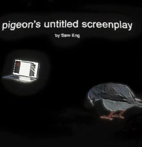 Pigeon's Untitled Screenplay