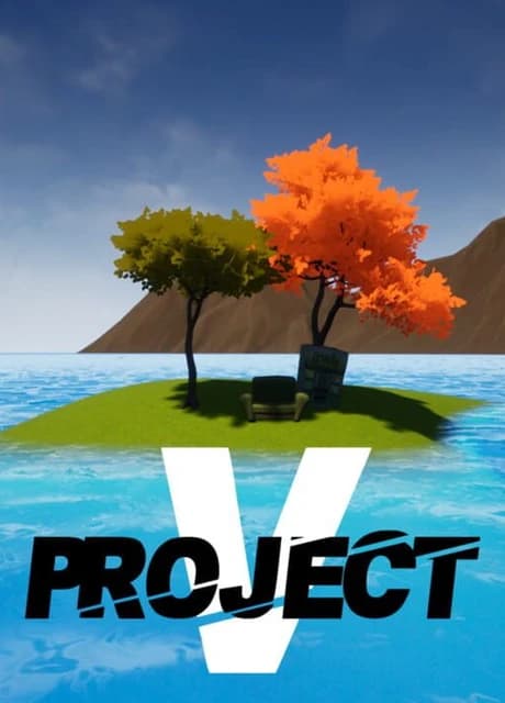 Project V