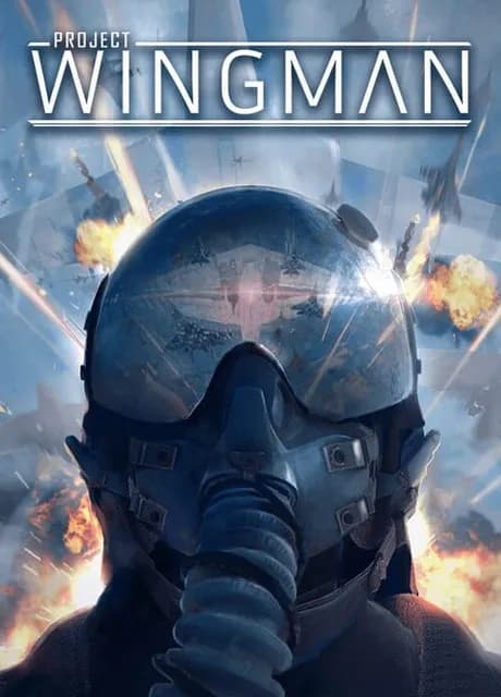 Project Wingman