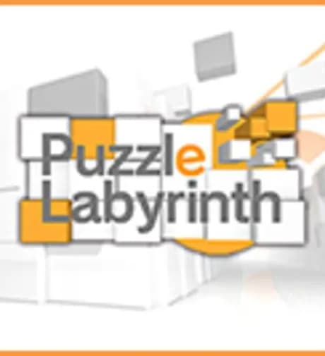 Puzzle Labyrinth