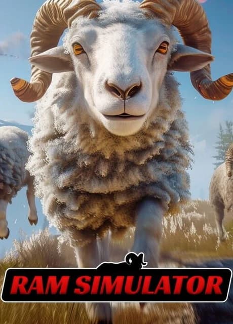 Ram Simulator