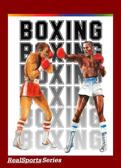 RealSports Boxing