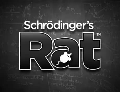 Schrödinger's Rat