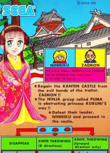 Sega Ninja