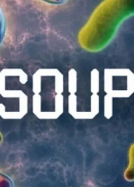 Soup