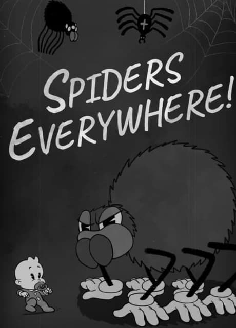 Spiders Everywhere