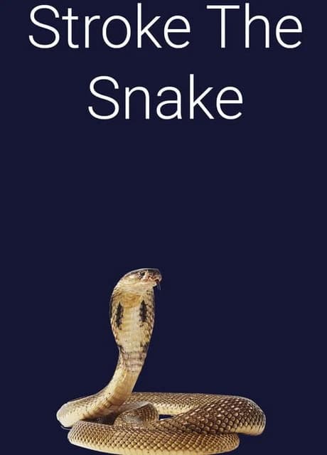 Stroke the Snake