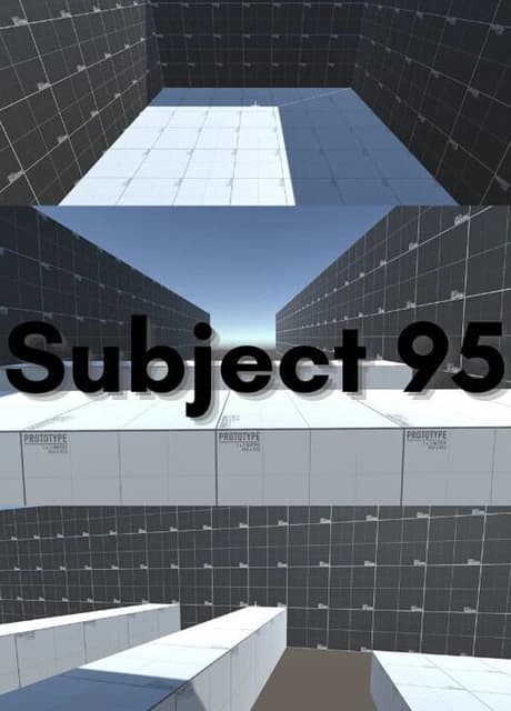 Subject 95