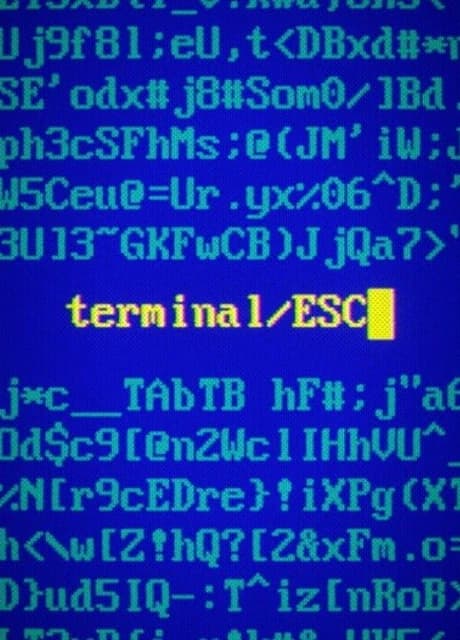 Terminal ESC