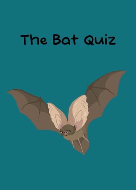 The Bat Quiz