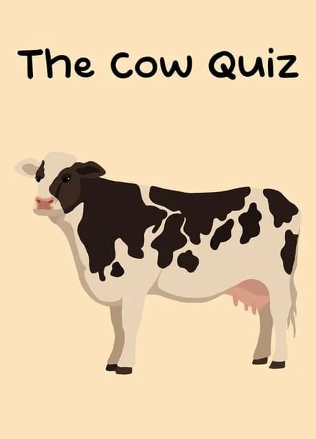 The Cow Quiz