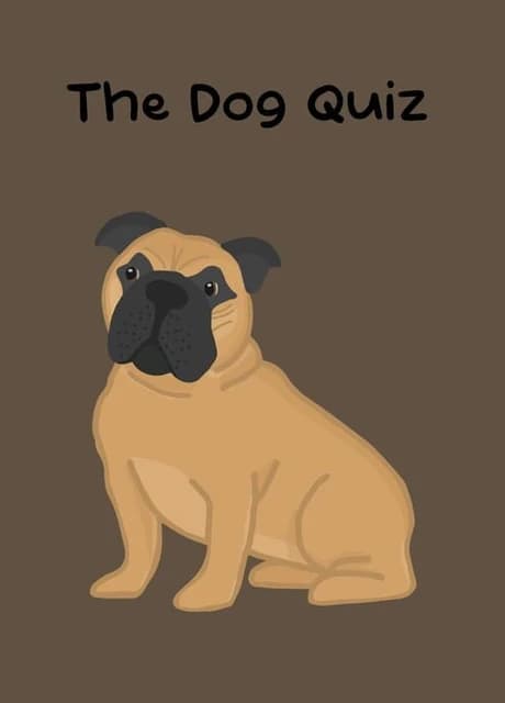 The Dog Quiz