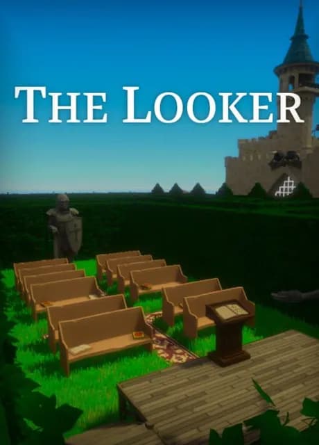 The Looker