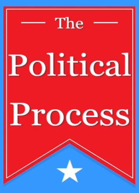 The Political Process