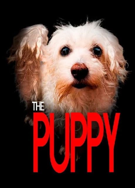 The Puppy