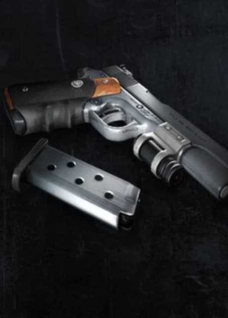 Tomb Raider: Silverballer