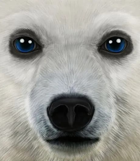 Ultimate Arctic Simulator