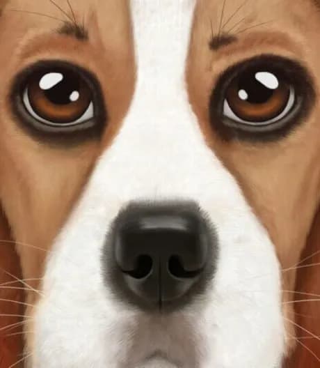 Ultimate Dog Simulator