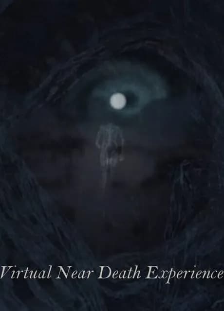 Virtual Near Death Experience