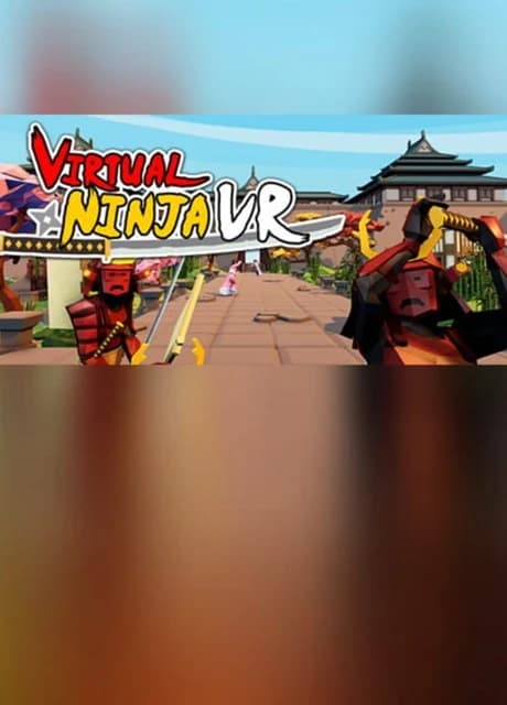 Virtual Ninja VR