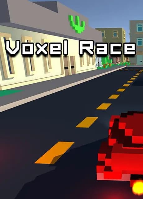 Voxel Race