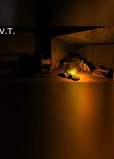 V.T.