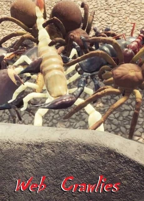 Web Crawlies