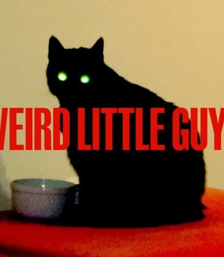 Weird Little Guys
