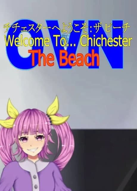 Welcome To... Chichester OVN : The Beach