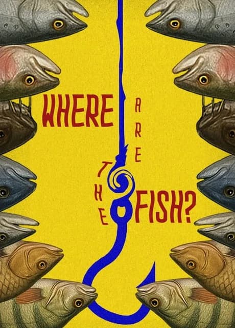 Where Are the Fish?