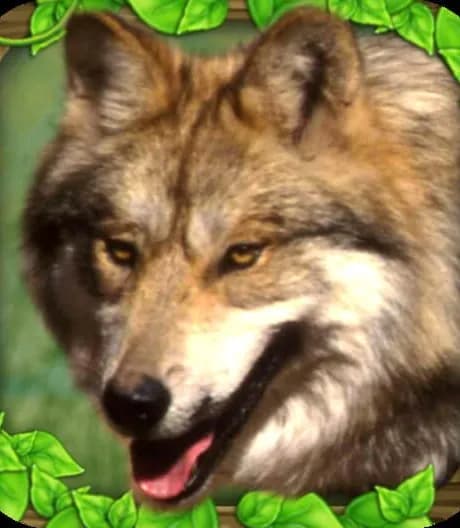 Wildlife Simulator: Wolf