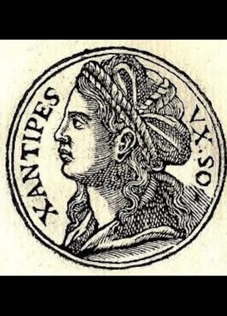 Xanthippe's Last Night with Socrates