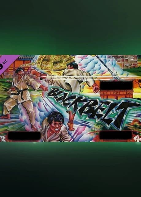Zaccaria Pinball: Blackbelt Table