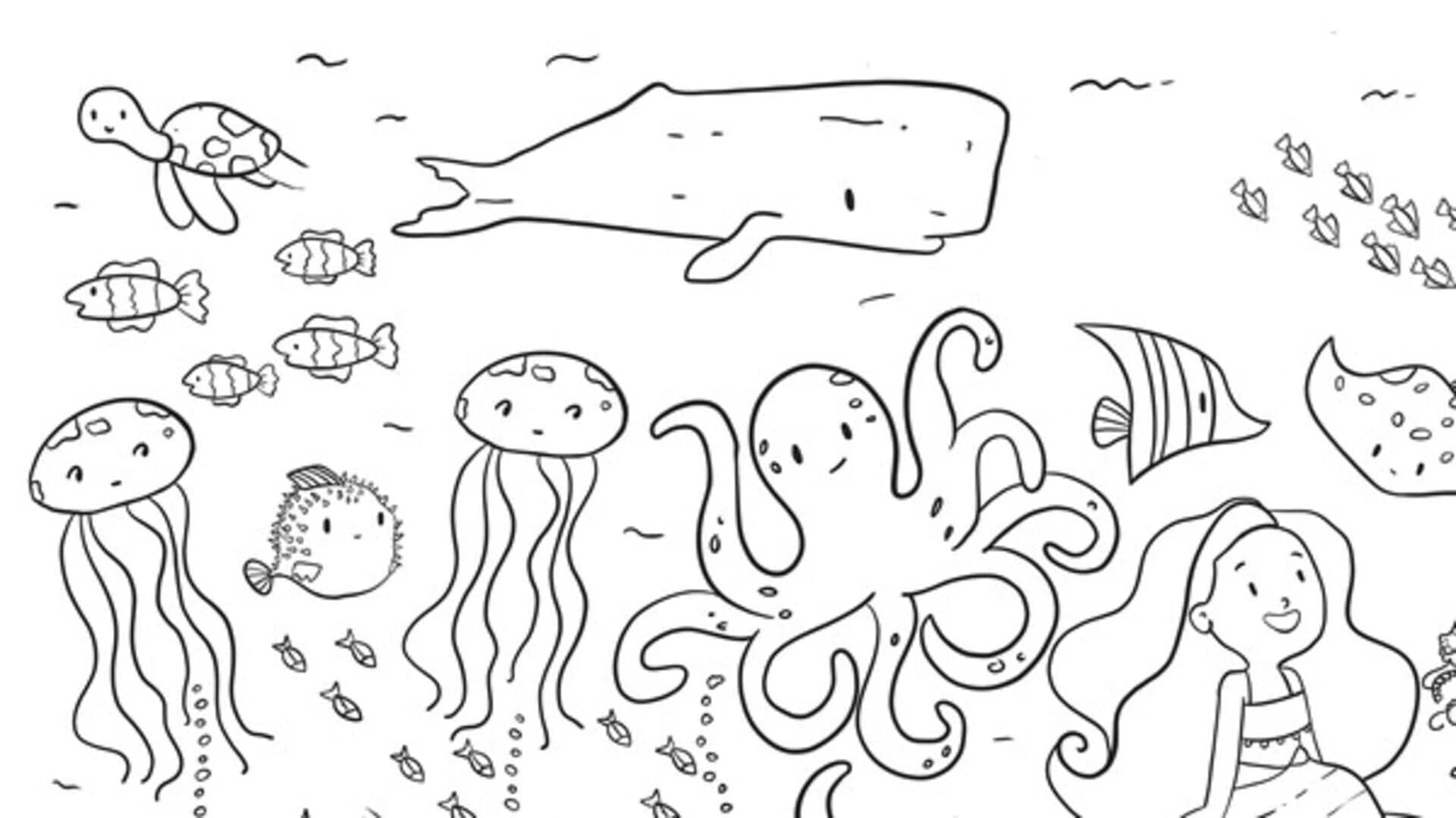 100 Sea Cats screenshot 5