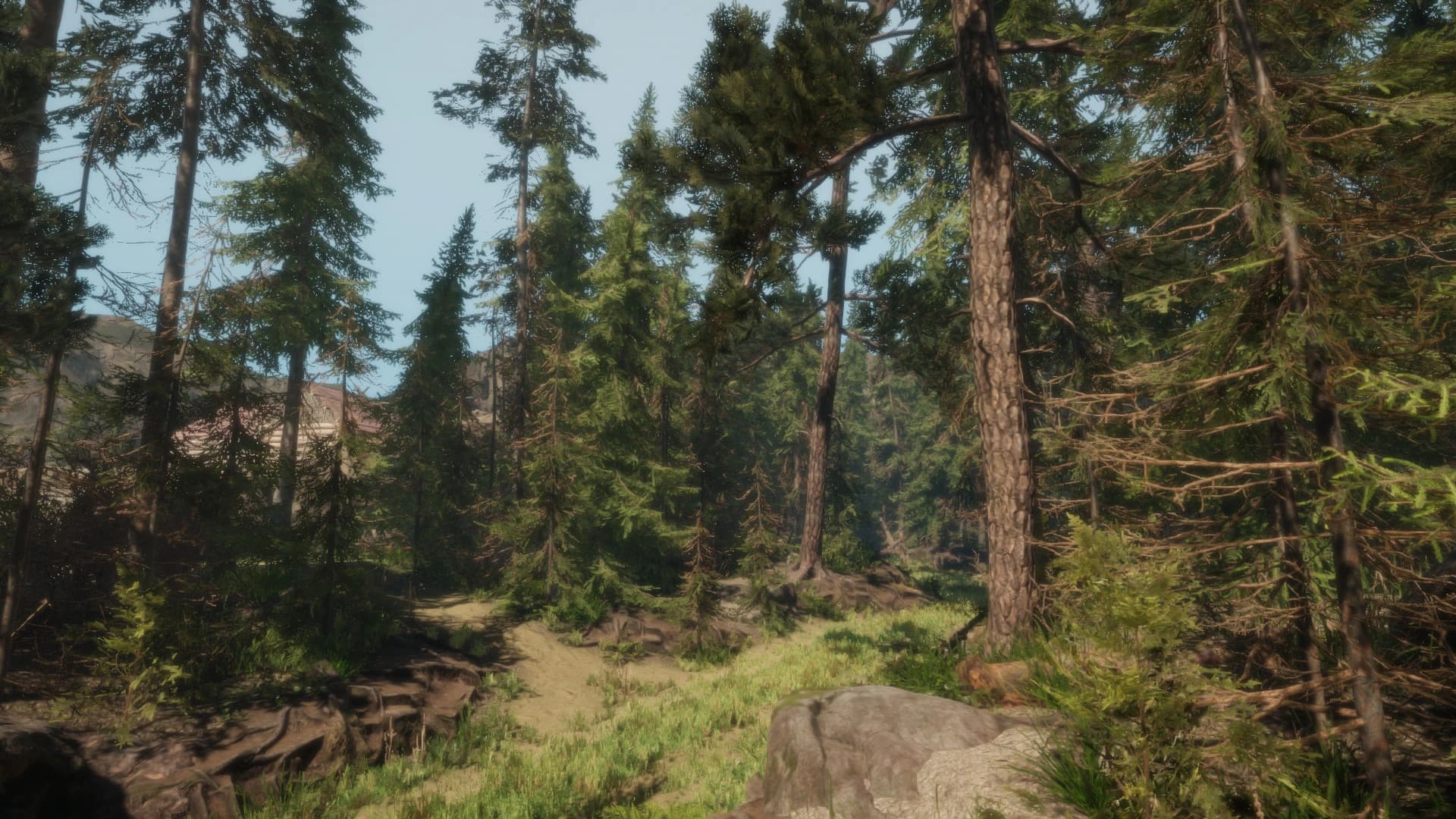 A Walk in the Woods screenshot 3