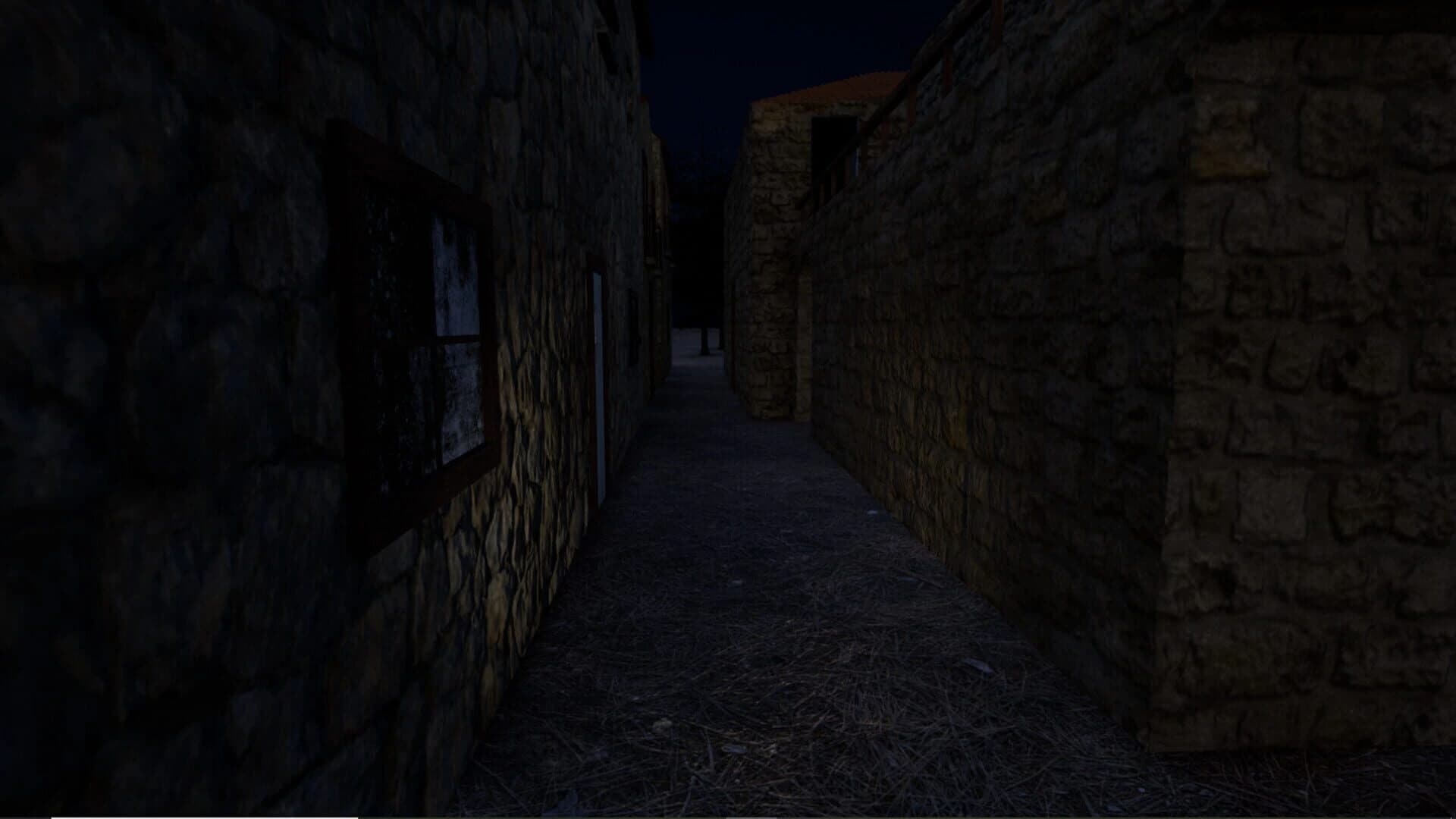Abondoned Village screenshot 4