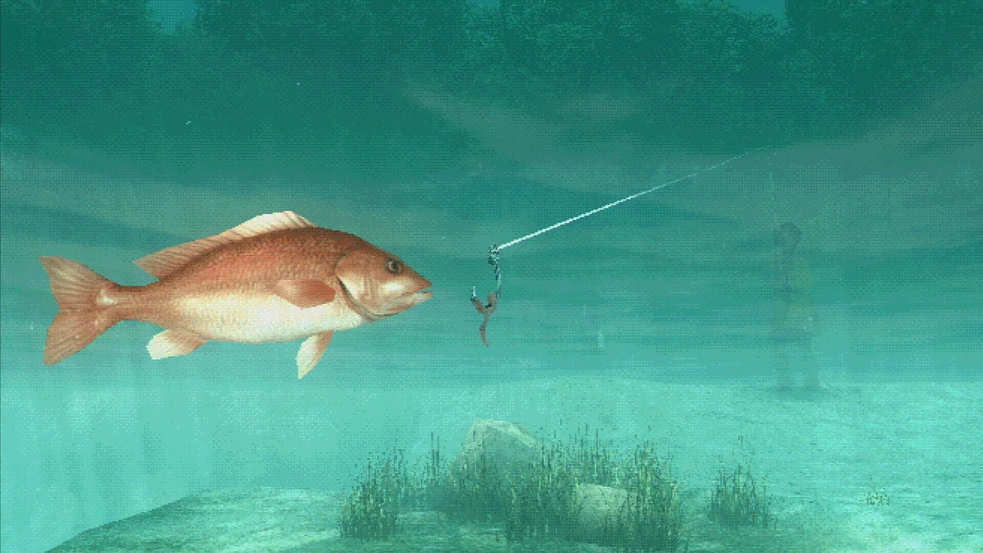 About Fishing screenshot 2
