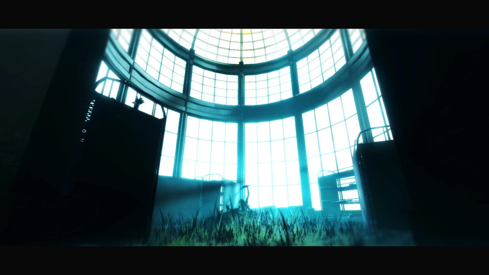 Acanthoceras screenshot 3