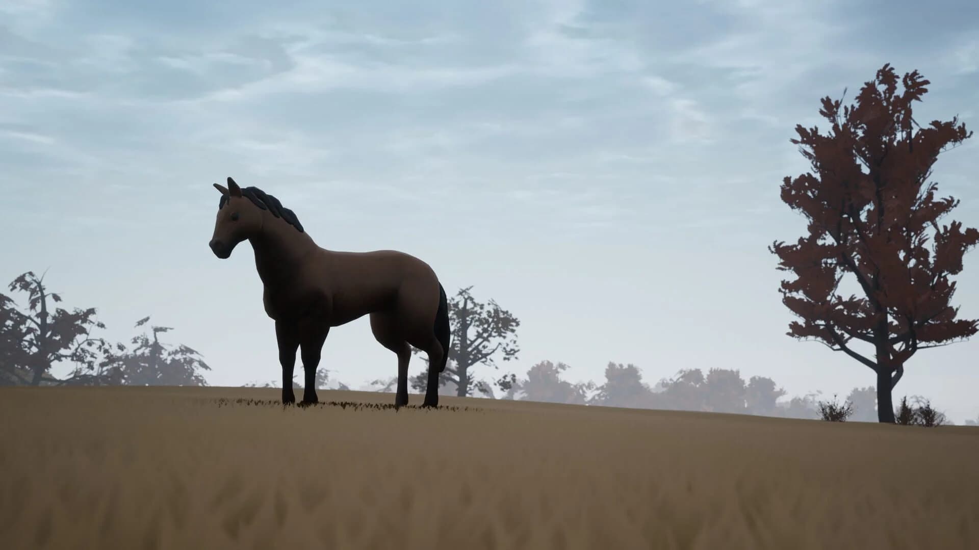 Adios screenshot 3