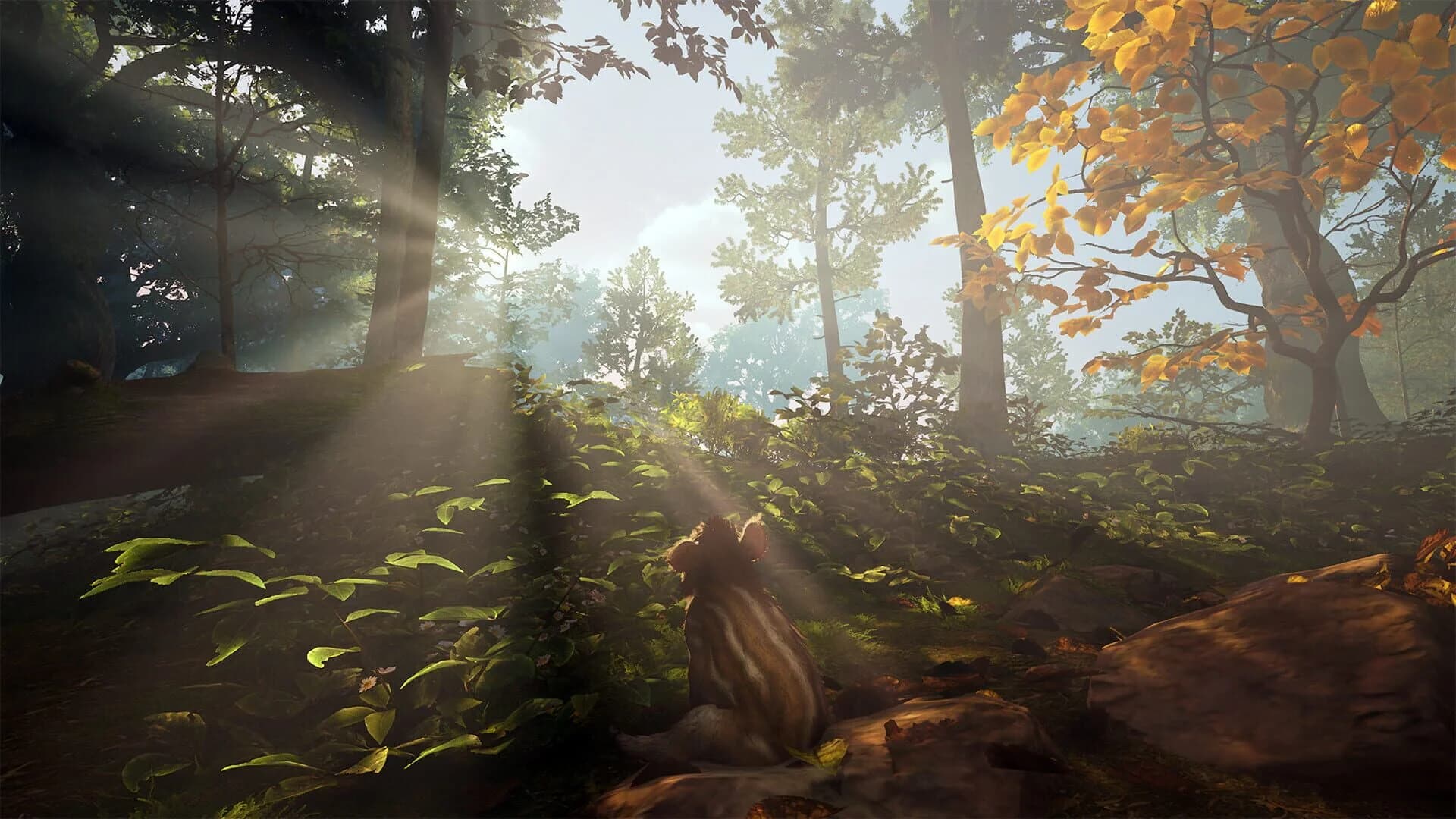 Adorable Adventures screenshot 6