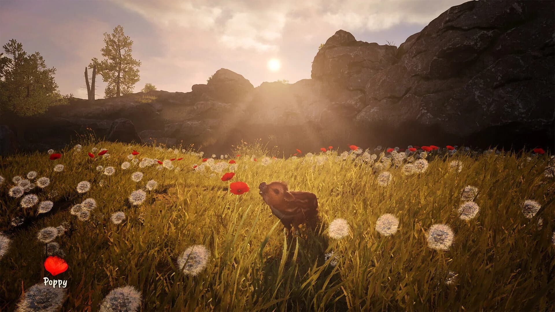 Adorable Adventures screenshot 2