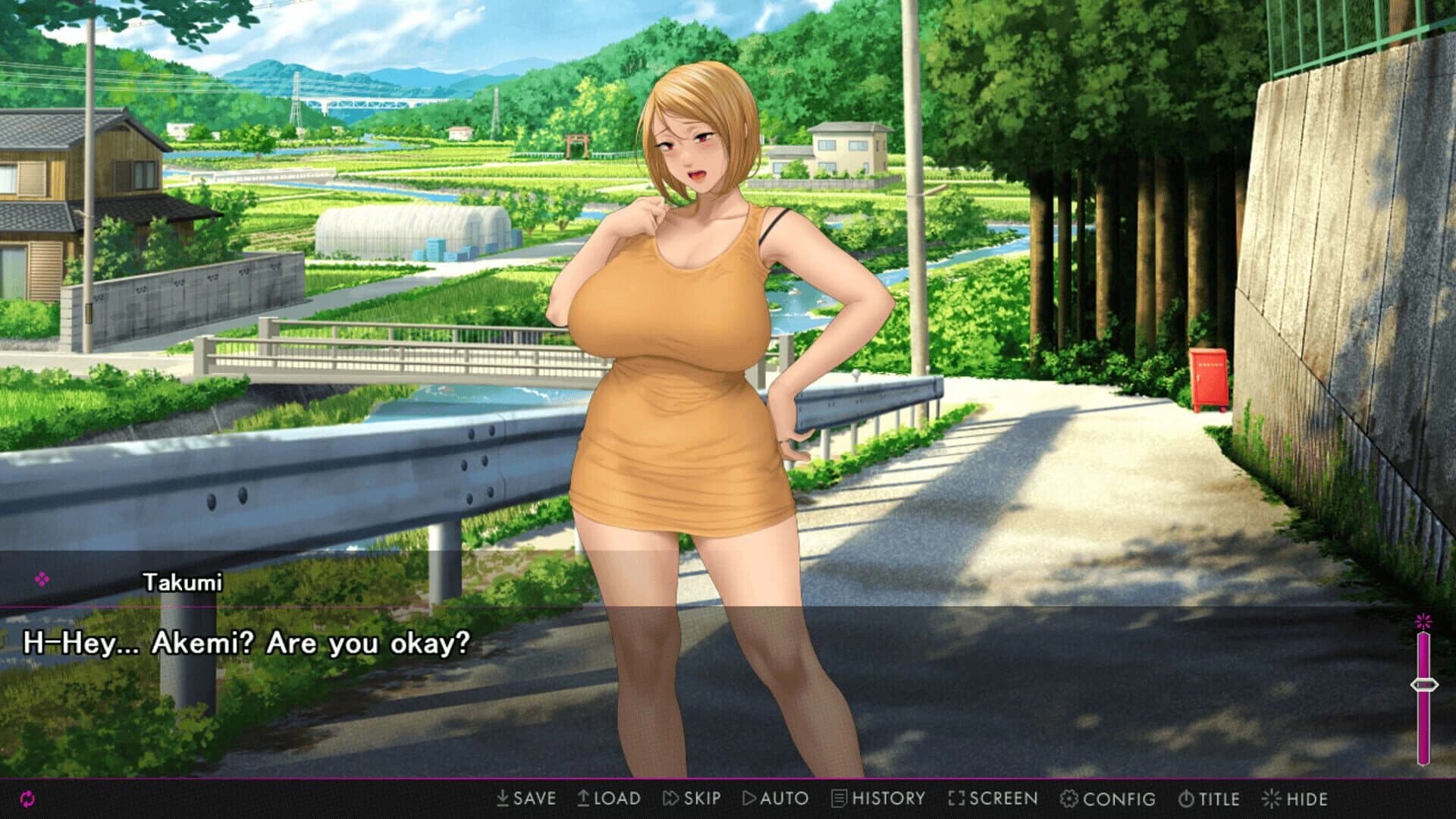 Afternoon Affairs & Helpless Housewives screenshot 5