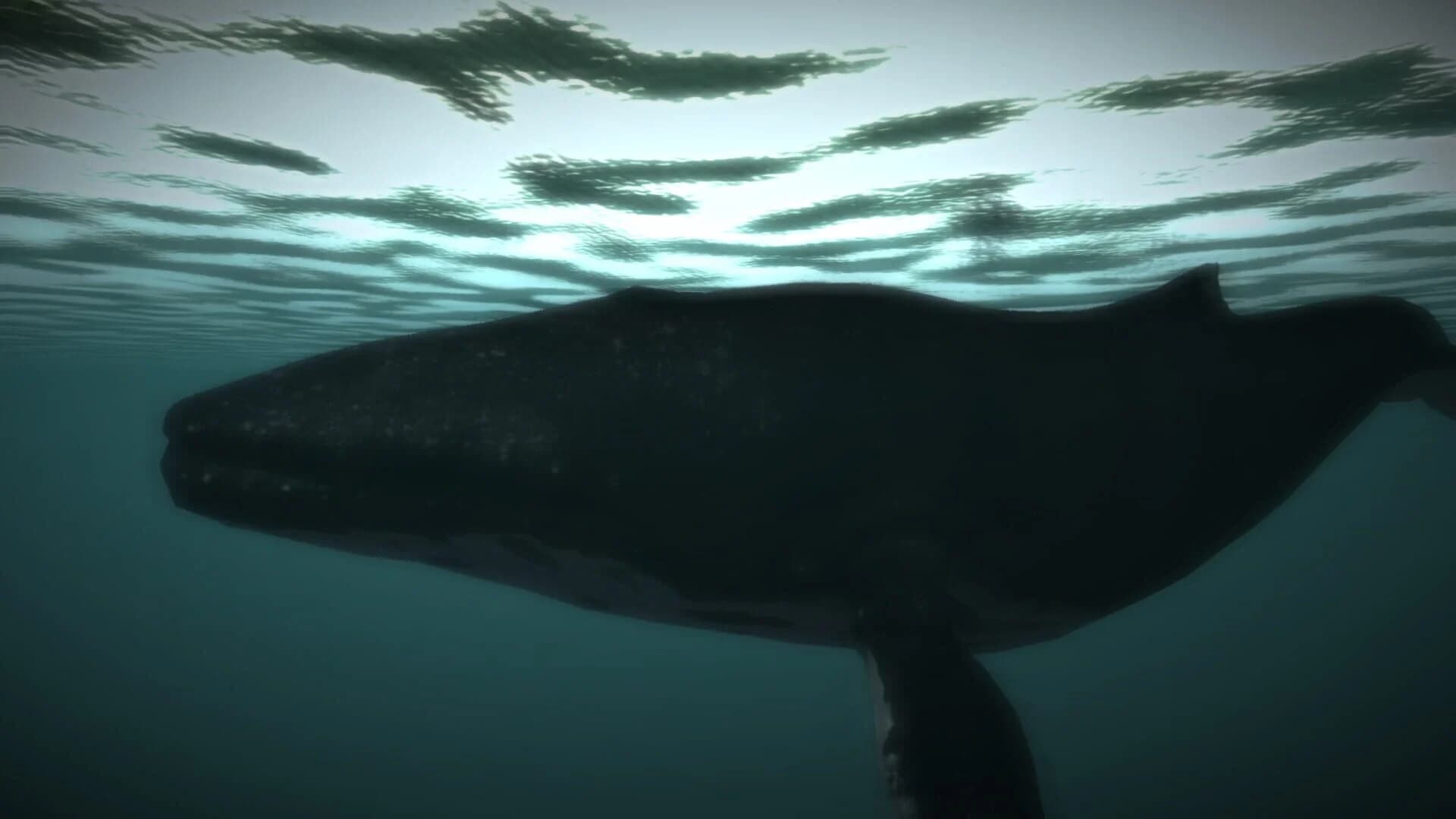 Age of Survival screenshot 5