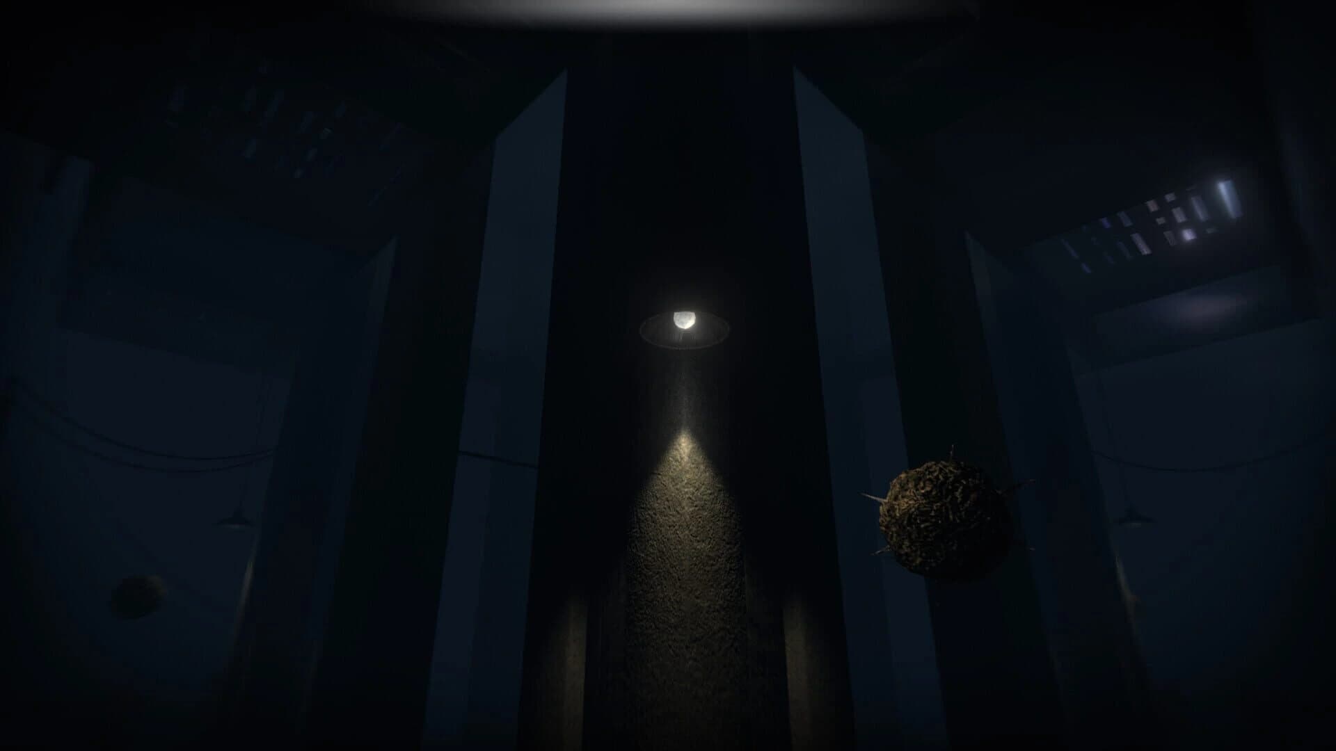 Akui: The Insane Cultists screenshot 2