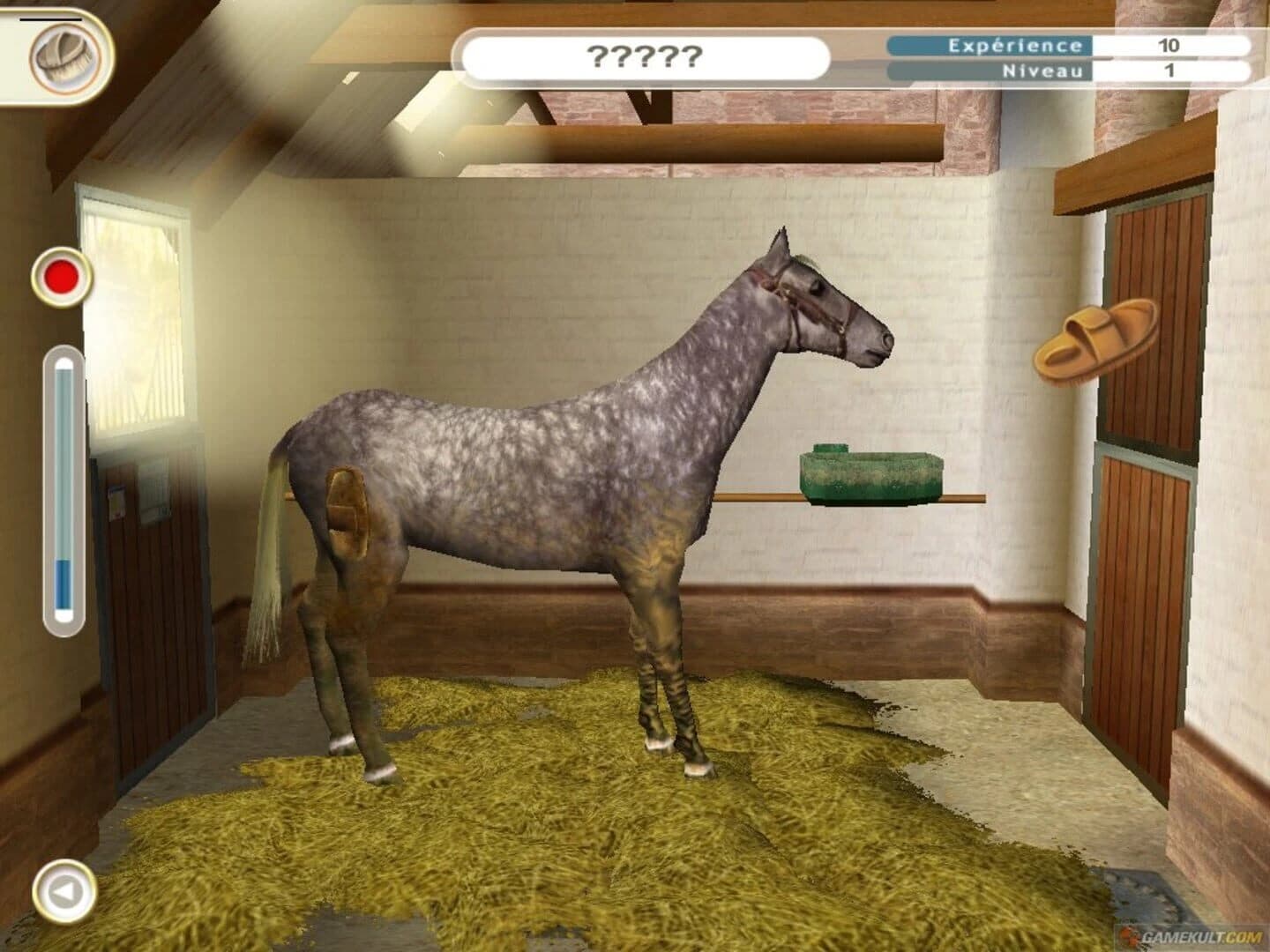 Alexandra Ledermann 5 : Legacy of the Stud screenshot 1