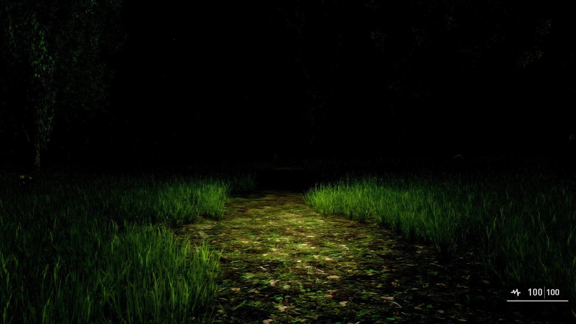 Alone Again: The Countryside screenshot 1